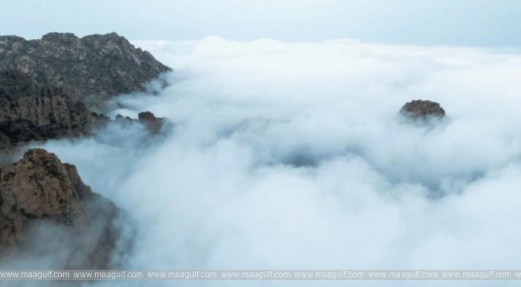 సౌదీ అరేబియాలో ఫాగ్, రెయిన్స్ హెచ్చరికలు జారీ..!!